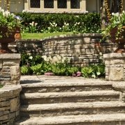 Steintreppe mit Tulpen
